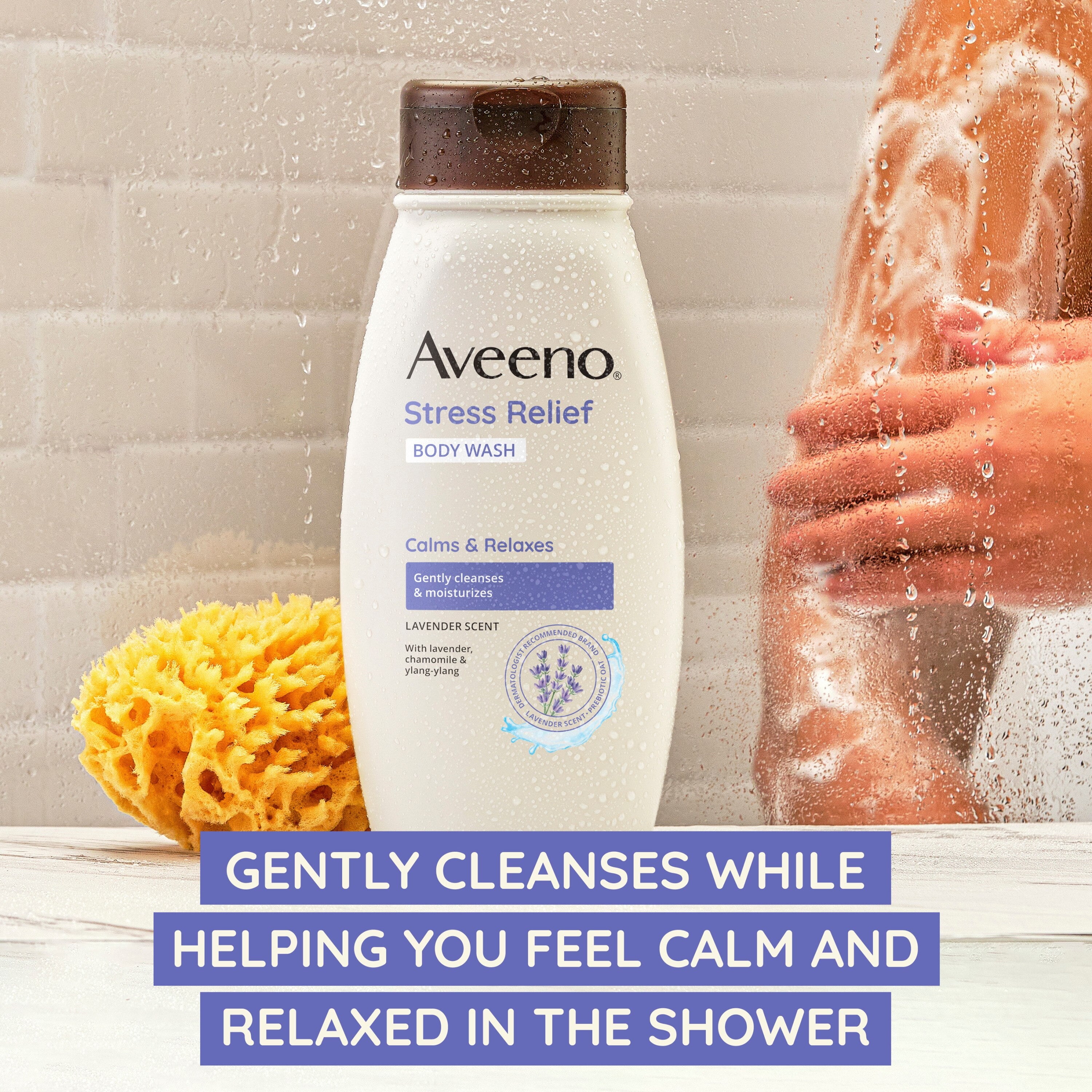 Aveeno Stress Relief Body Wash with Lavender & Chamomile, 12 fl. Oz - 2 Pack